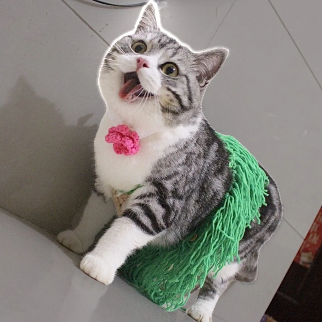 猫咪草裙舞比基尼宠物衣服变装搞笑拍照狗狗小型犬衣服裙子网红款