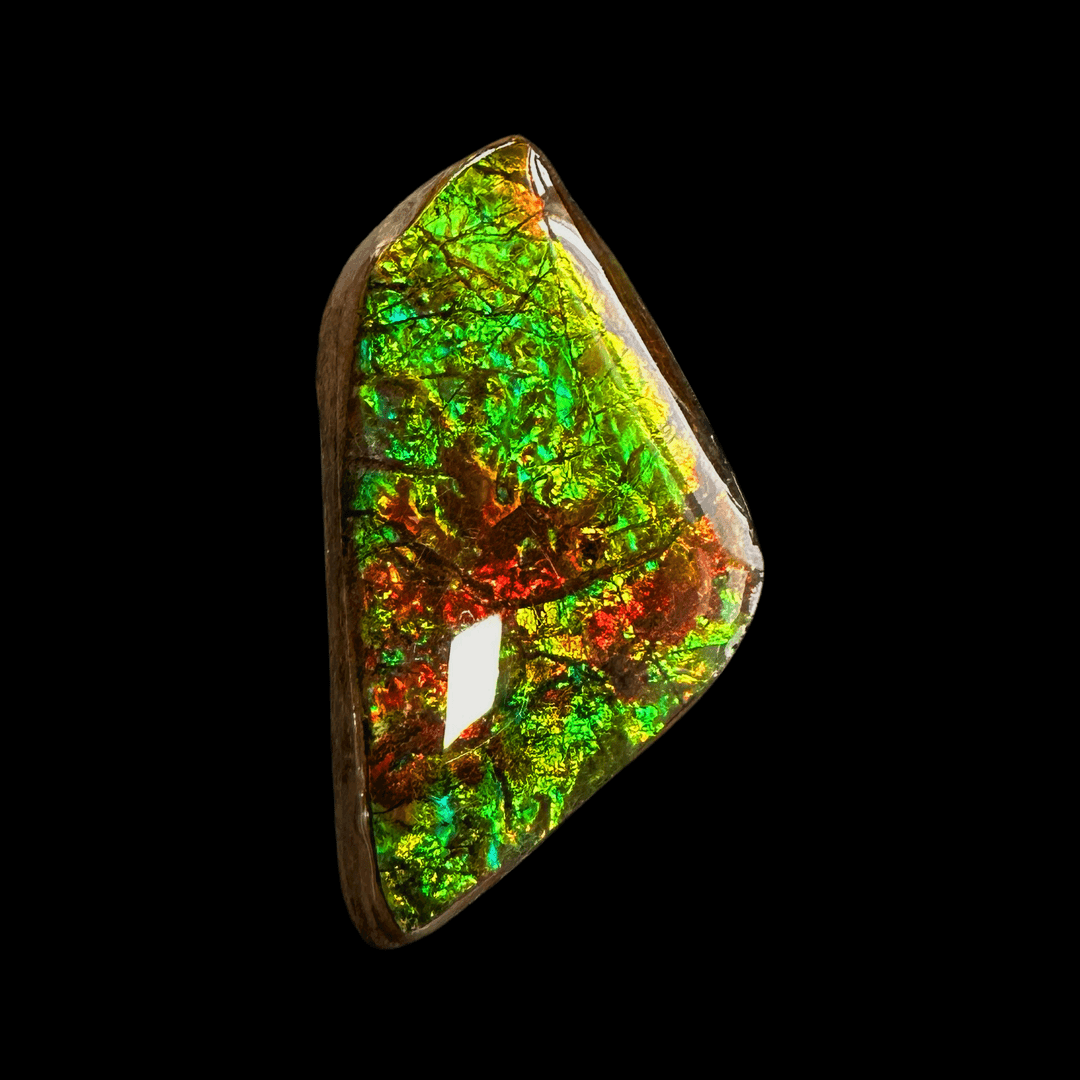 【斑彩石】37.3mm 原石 产地：加拿大F11古贝壳化石