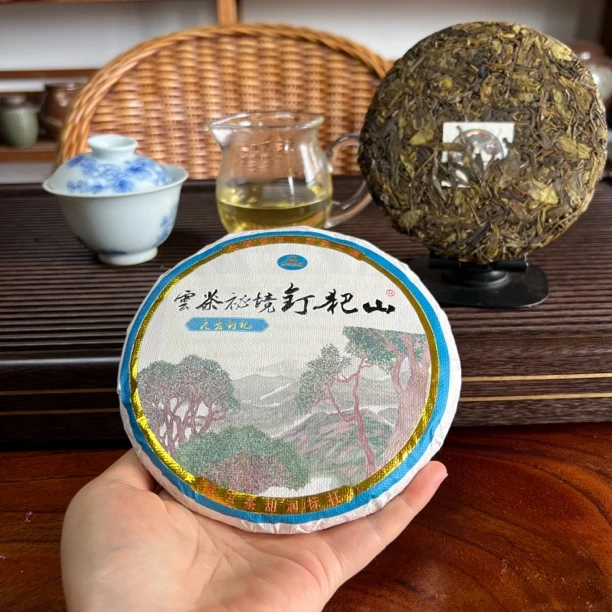 【九齿钉耙】2024年九齿钉耙钉耙山普洱生茶紧压茶