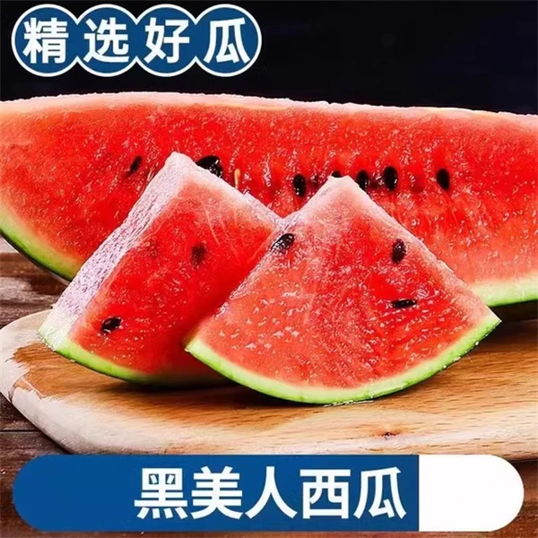 正宗冰糖黑美人西瓜现摘新鲜水果手掰麒麟瓜黑皮西瓜整箱包邮批发