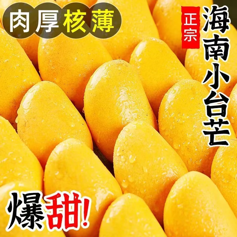 小台农大小芒果海南芒果产地现摘新鲜香芒台农芒果热带水果3-9斤