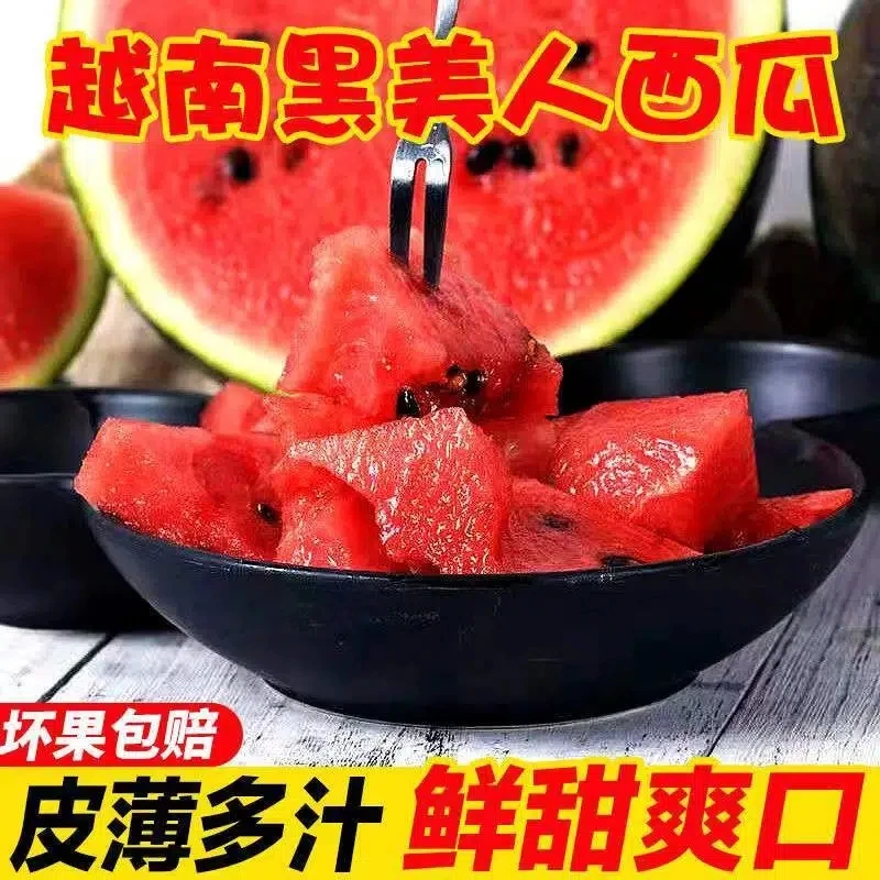 新鲜水果越南黑美人西瓜包邮皮薄黑籽甜麒麟西瓜现摘多汁当季整箱