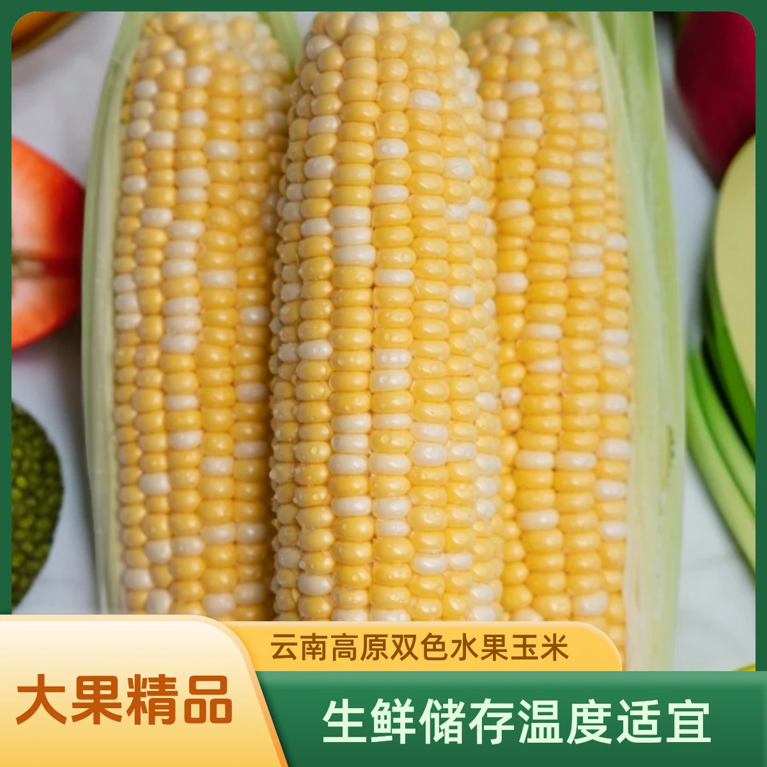 云南高原双色水果玉米精品（大果）