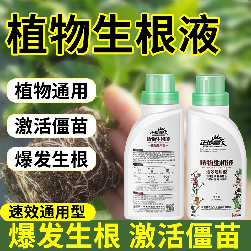 家庭园艺植物生根液快速强力生根壮苗剂移栽扦插果树花卉通用型