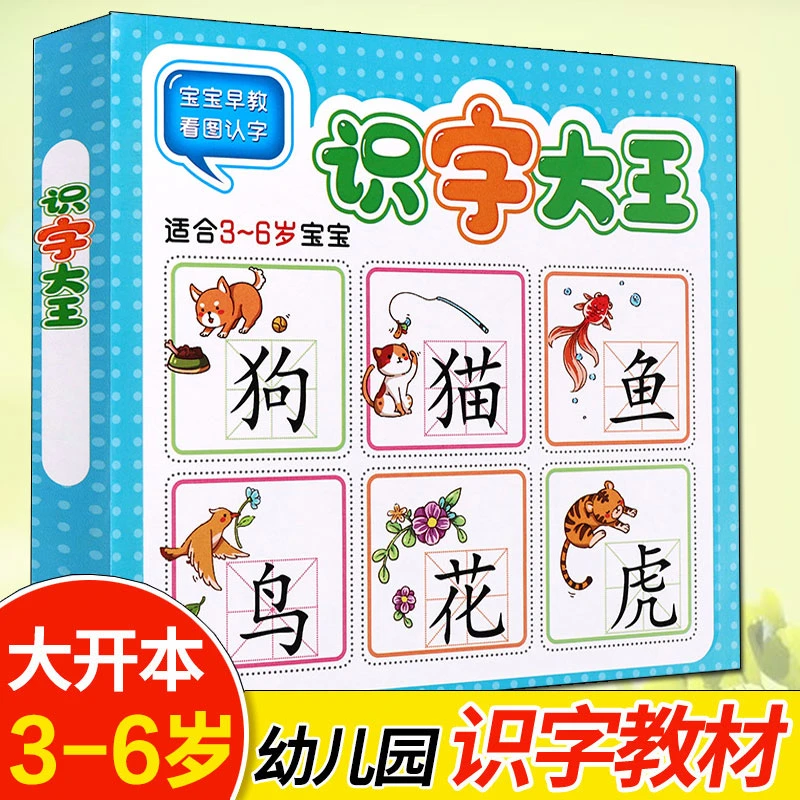 识字大王儿童学前看图识字书 3-4-5-6-7岁幼儿园注拼音版 一年级