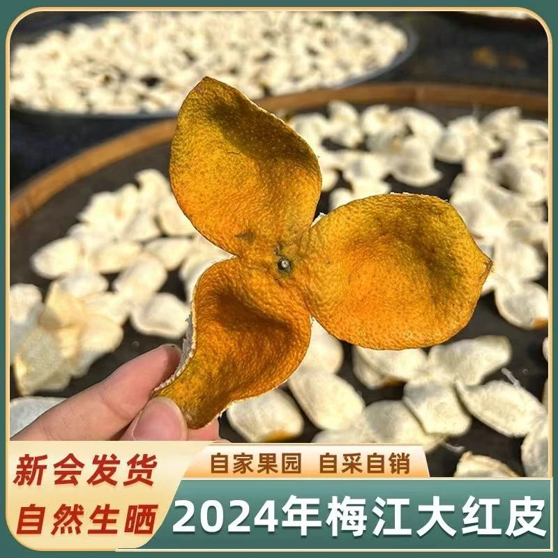 【元旦红】梅江圈枝冬后 元旦大红皮  花蜜香 回甜 高香 新会发货