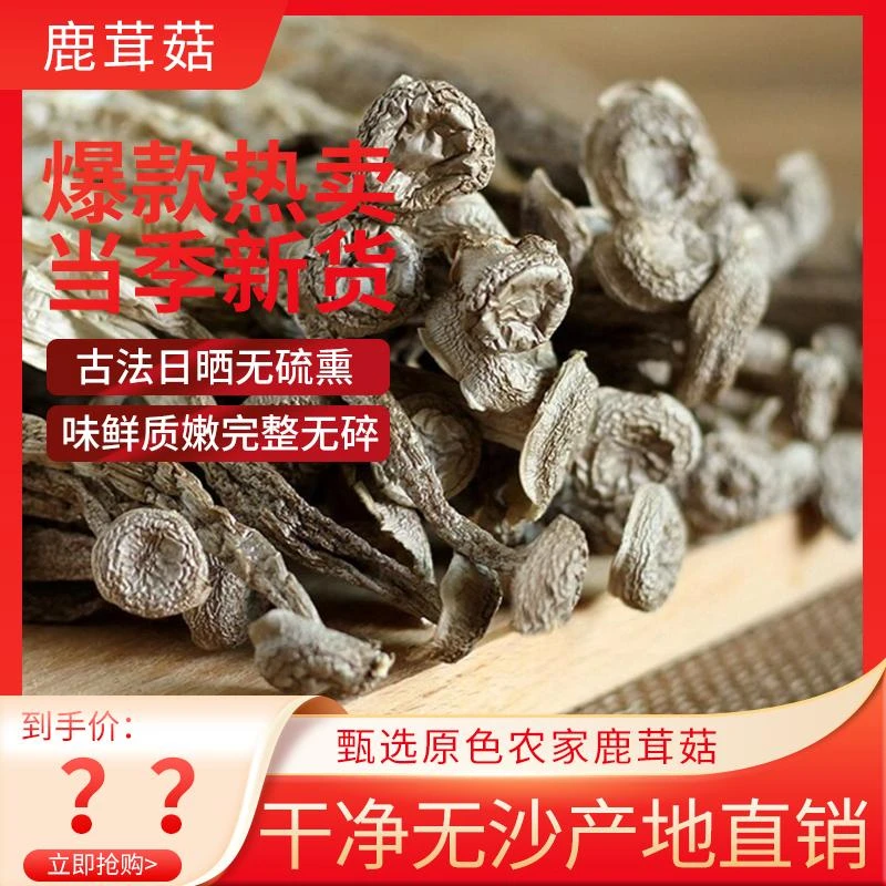 江月秋红鹿茸菇干货优选滋养精选