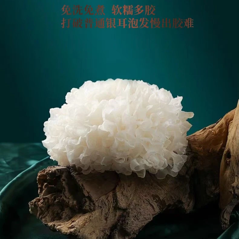 有机本草银耳老人营养方便元气软糯口感胶质免洗免煮