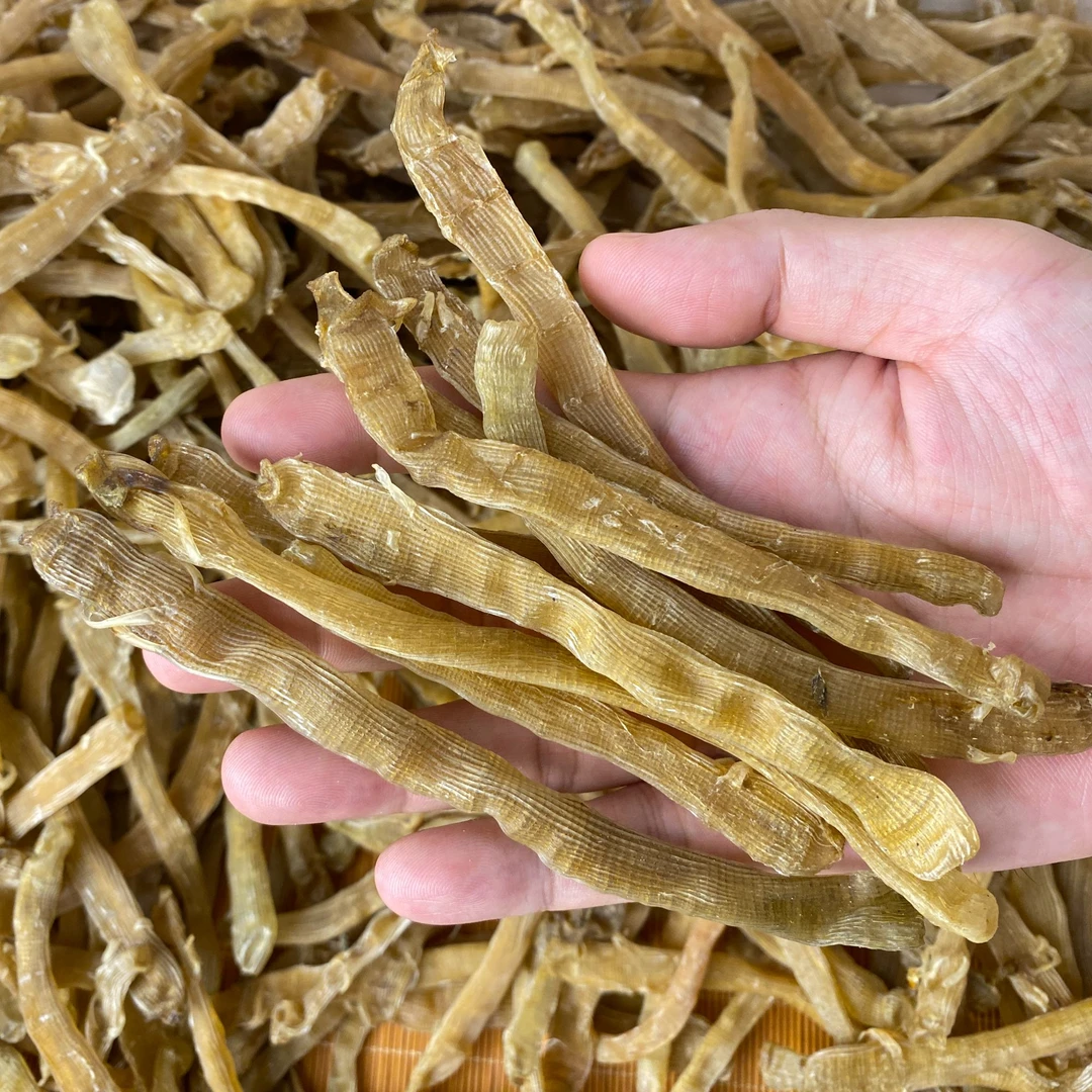 天然大号沙虫干 海鲜干货 广东特产 干净无沙天然