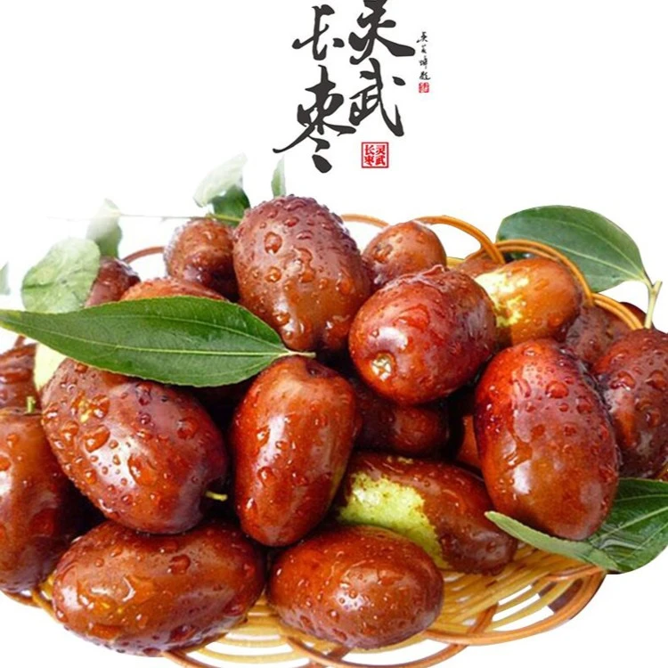 【大地现货鲜枣】宁夏灵武长枣现摘新鲜3/5/10斤中通快递