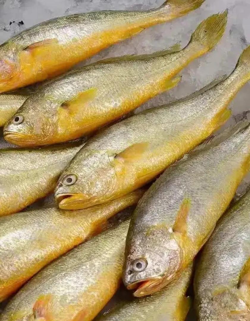 新鲜大杂鱼，黄花鱼，野生平鱼，野生黑头，石斑鱼，4斤