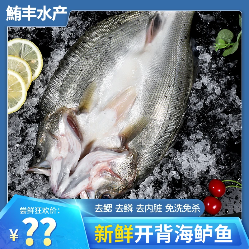 生态海鲈鱼400g/条半成品真空包装去鳞去鳃去内脏免洗开背海鲈鱼