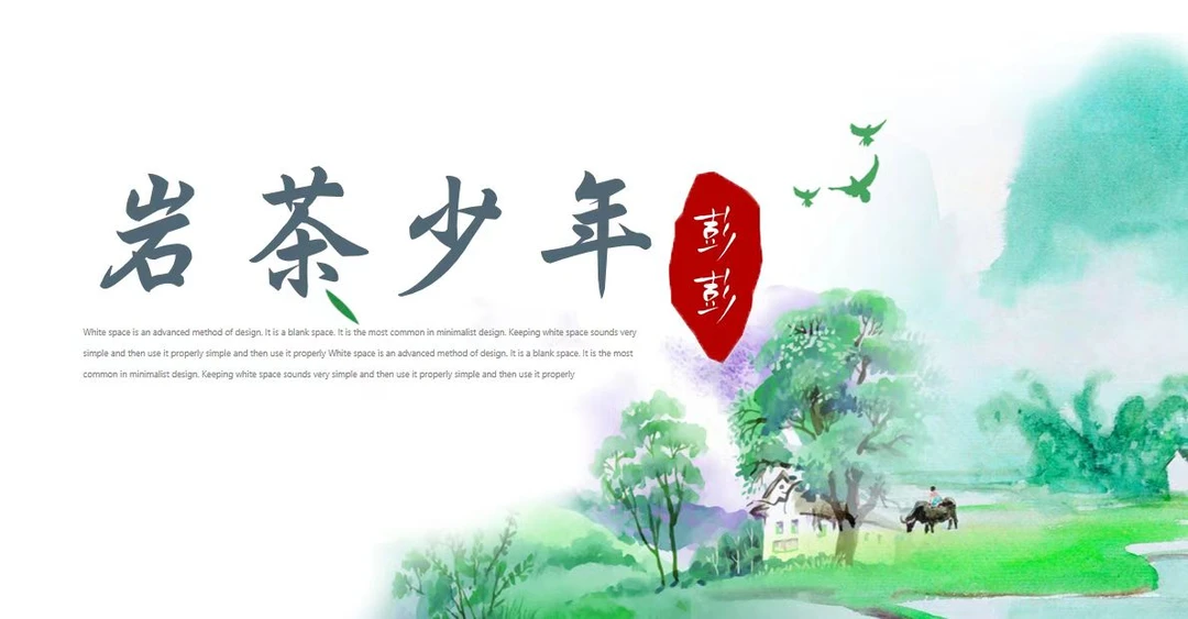 【岩茶彭彭】武夷岩茶 商品改价链接