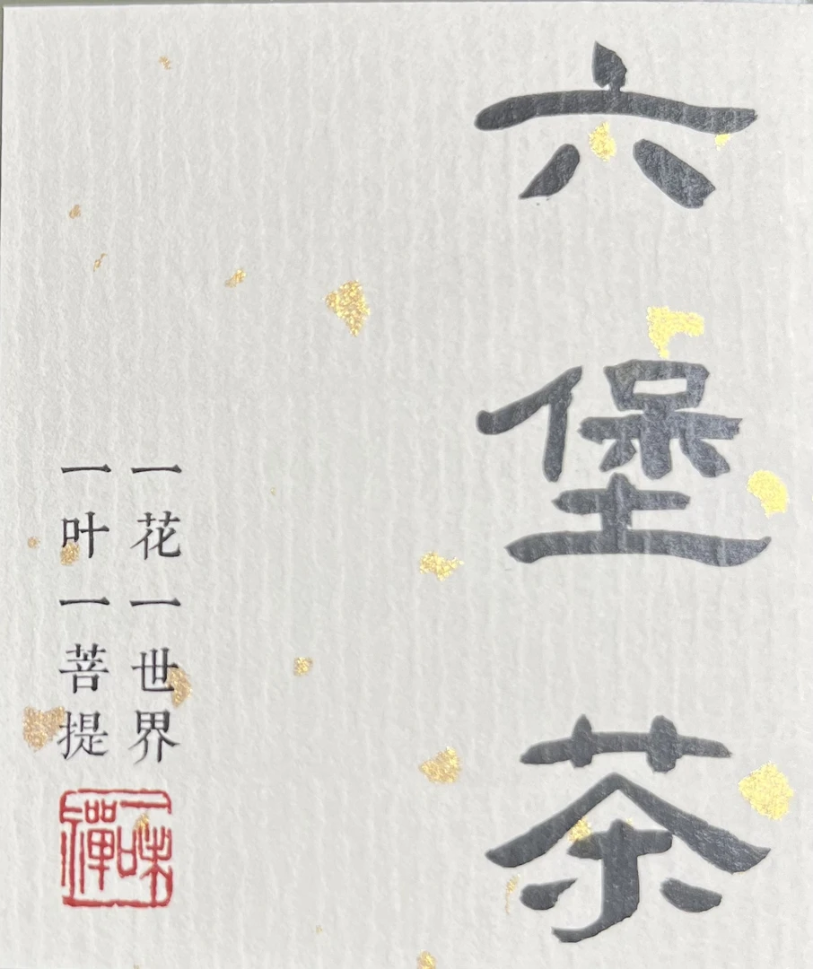 六堡茶广西梧州黑茶