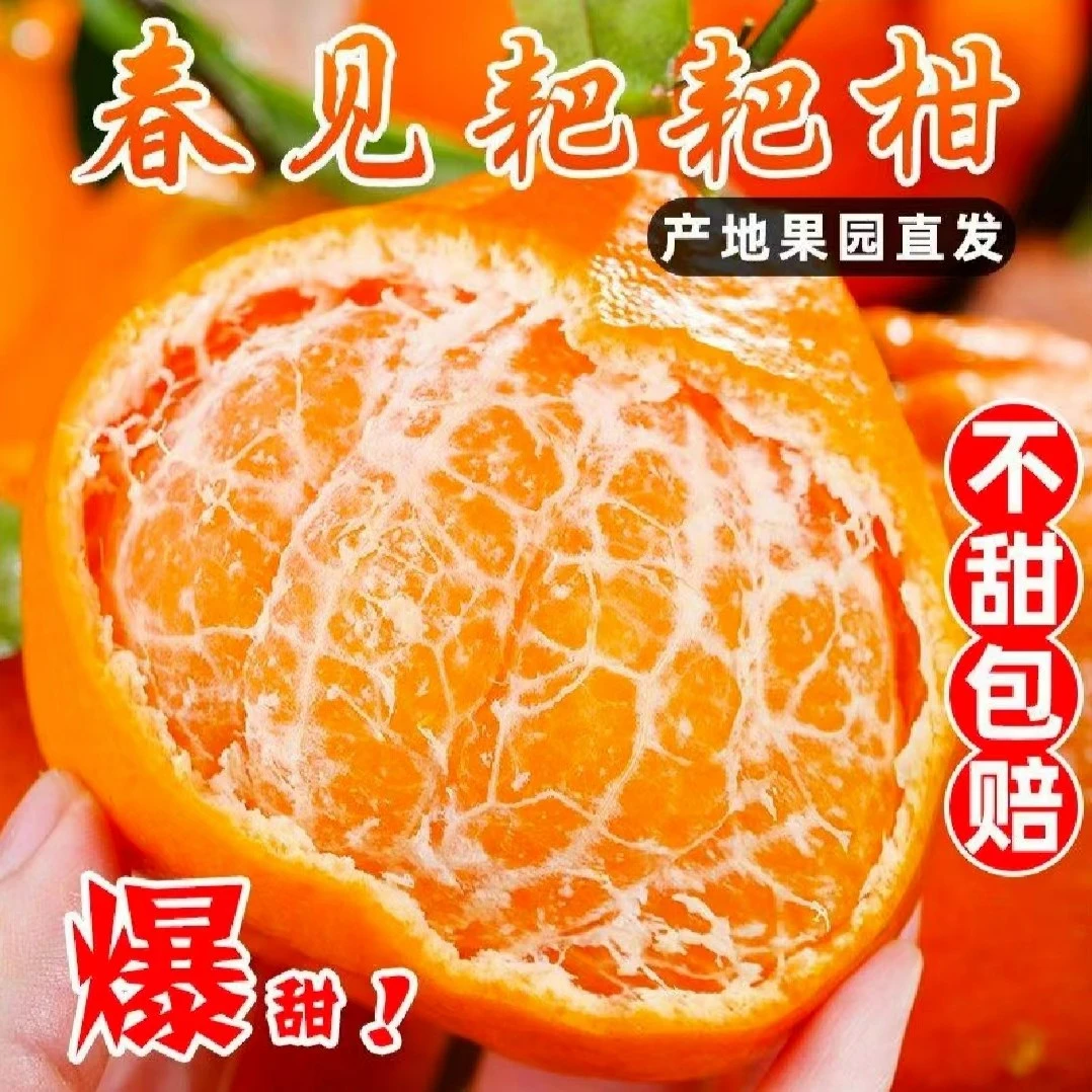 【京东快递】四川春见耙耙柑香甜爆汁现摘现发风味浓郁净重4.5/8斤