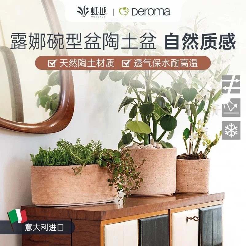 帝罗马露娜碗型盆陶土盆 透气耐寒保湿保水进口花盆