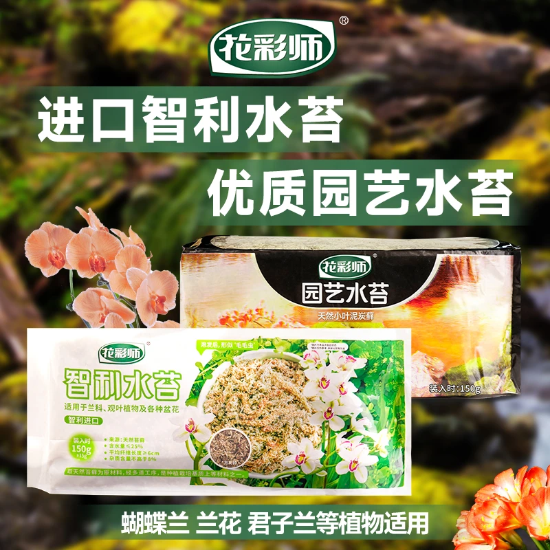HONGYUE/虹越花彩师园艺水苔智利无菌干水苔蝴蝶兰专用