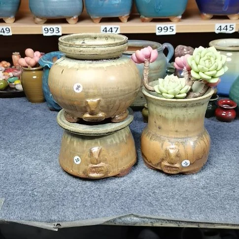 红陶20CM以下微瑕不退不换