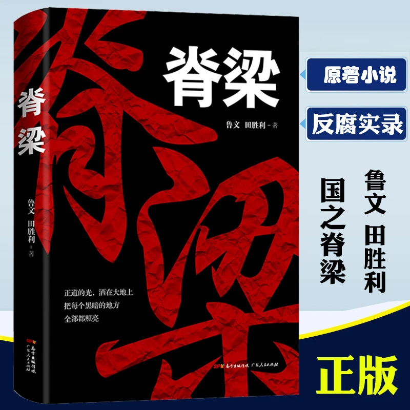 正版脊梁书籍鲁文田胜利著官场纪实小说反腐电视剧狂飙追问原版省