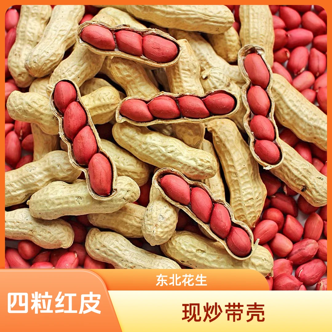 东北铁锅炒四粒红花生500g带壳原味现炒红皮花生传统