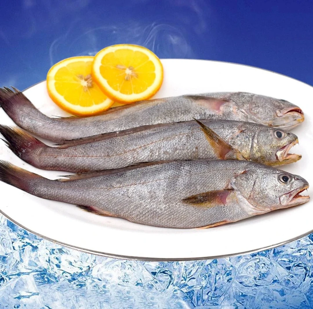 鳘鱼 500克/包*4包 纯野生海鱼 蒜瓣肉 去头去内脏去鳞片
