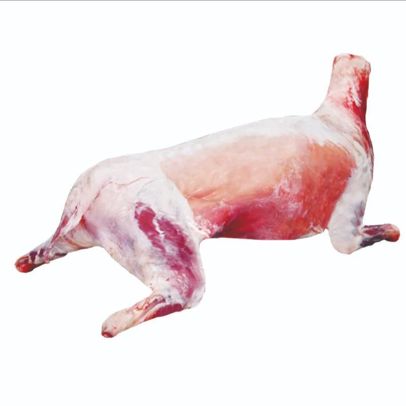 托尔塔依隔壁羊（本地羊）正宗肉质