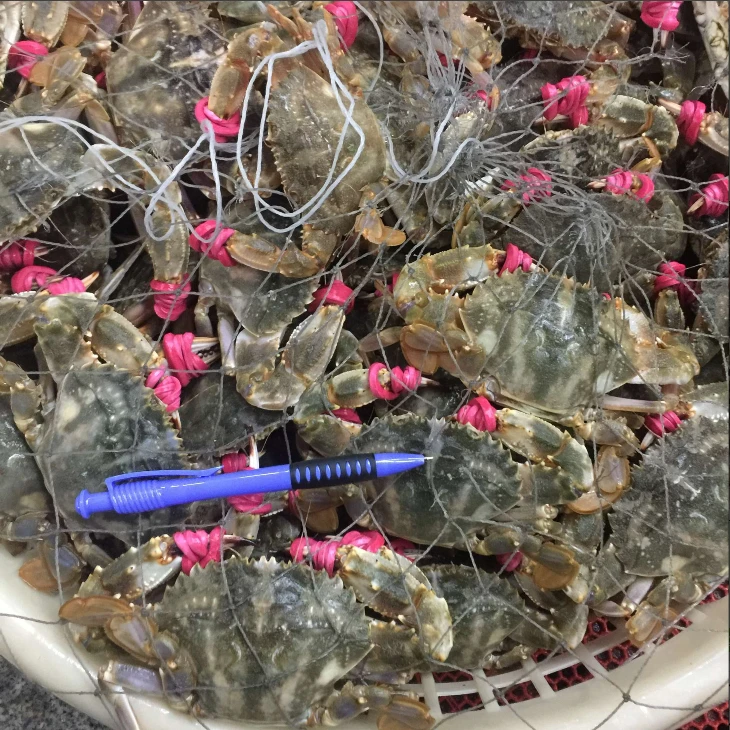 【野生花盖蟹】青岛本地野生花盖蟹4斤，保鲜不保活