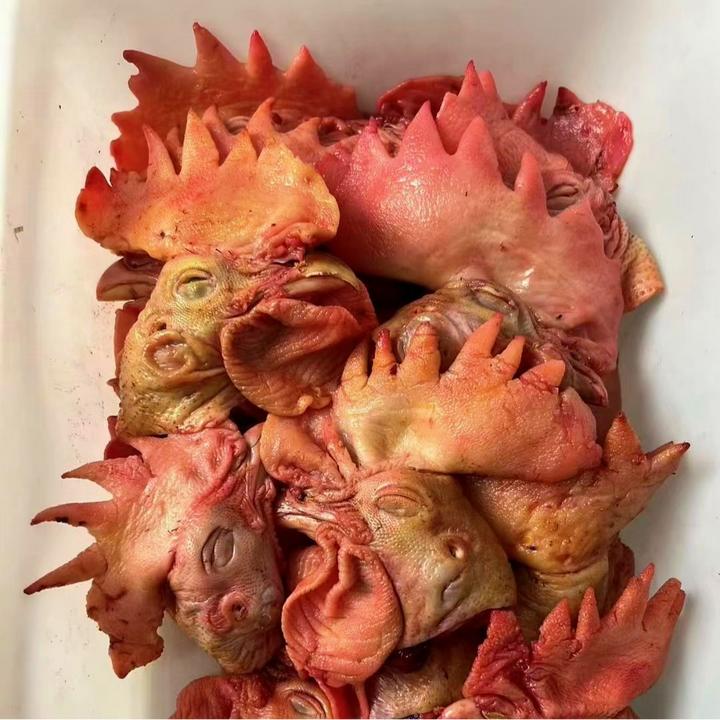 小七家笨鸡大冠鸡头  【4斤】《生鲜下单不退换》坏了包赔