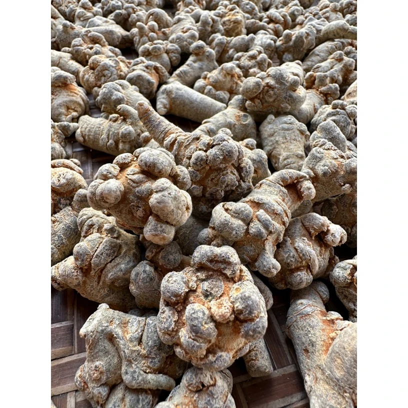 【肥仔哥专属】三七 田7 煲汤食材 250克 500克 蒜