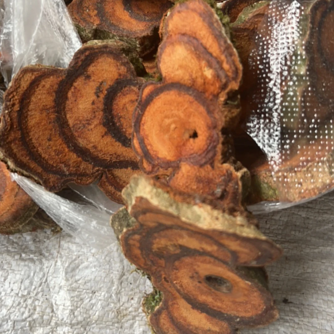 【鸡血藤】云南赶集现收