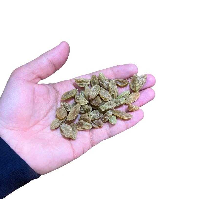 吐鲁番新北极王，口感非常棒，今年新货！