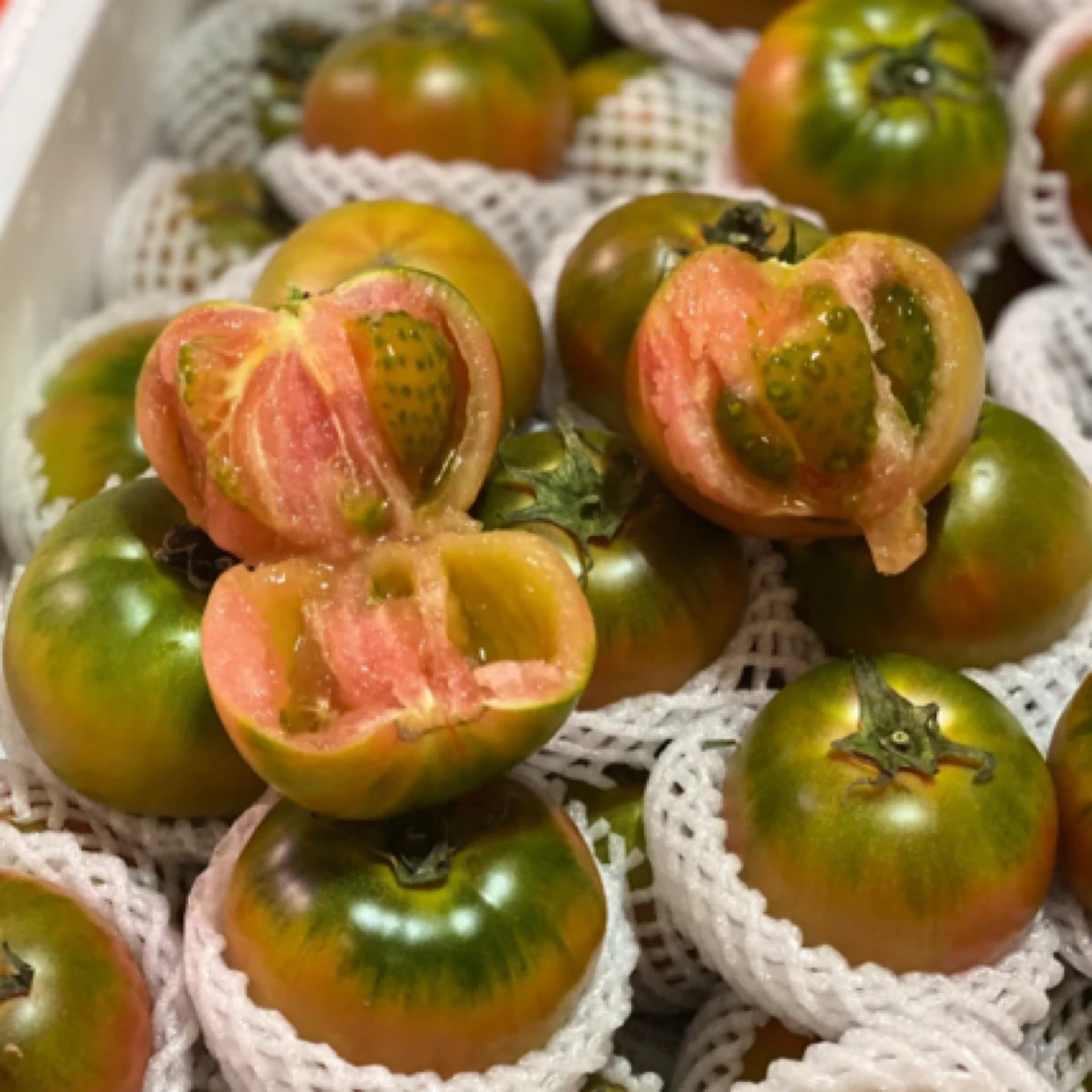 碱地柿子6个【鲜果】