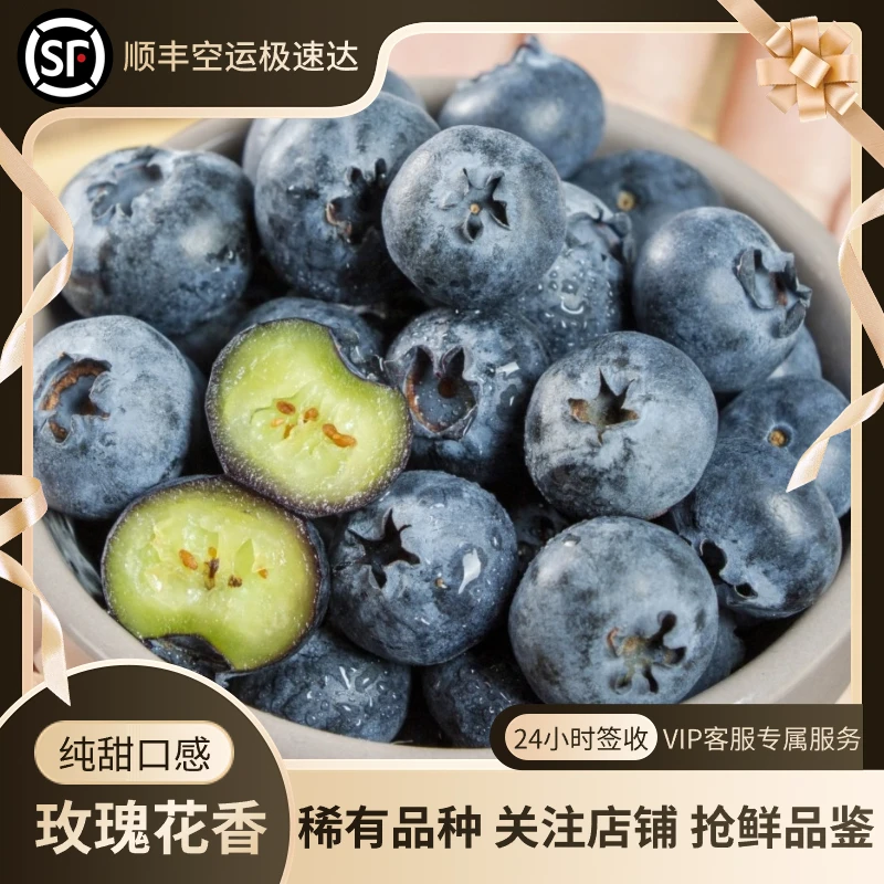 蓝莓玫瑰花香纯甜口感宝宝辅食孕妇水果云南高山蓝莓新鲜果