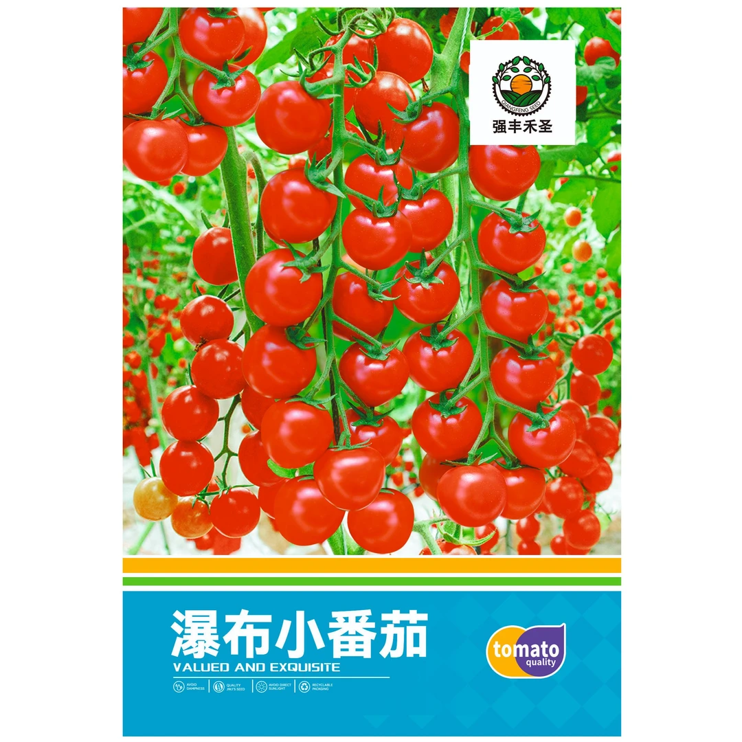 【全场满5元包邮】瀑布小番茄每包约150粒左右