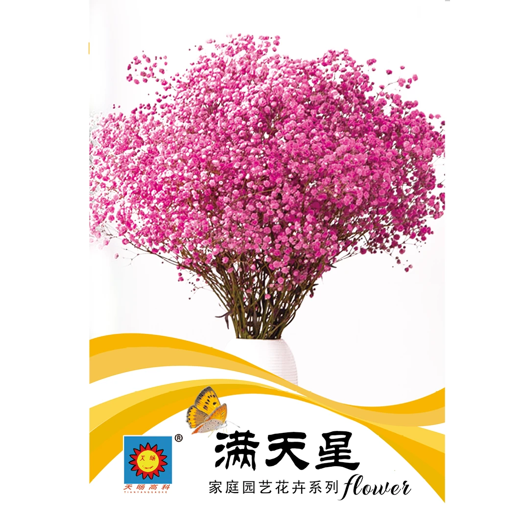 满天星（包装袋13x19厘米）每包约200粒