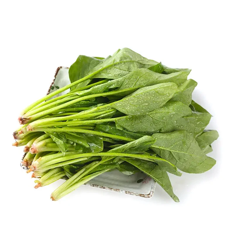 大叶菠菜500g±30g/份