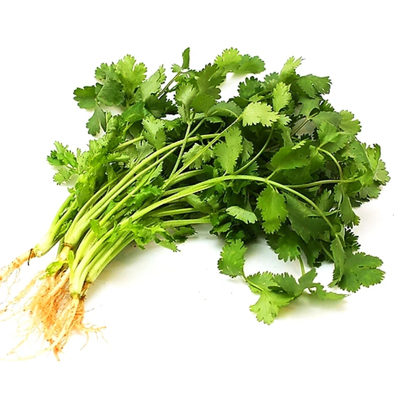 香菜 150g±10g/份