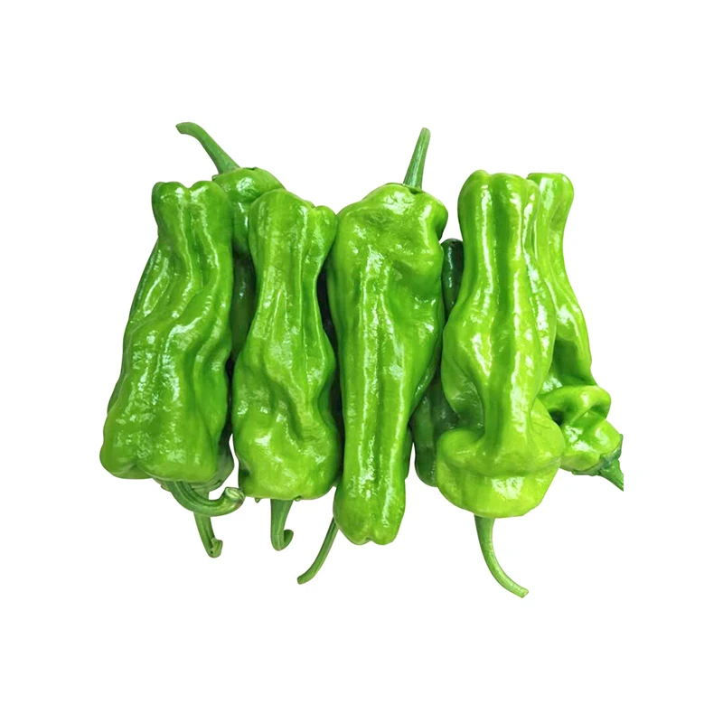 薄皮椒 150g±20g/份