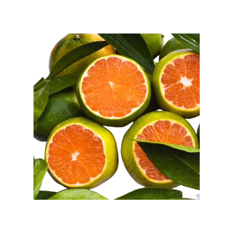 东江湖蜜桔 400g±20g/份