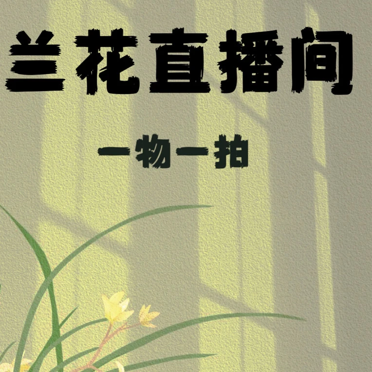 兰花直播一物一拍(直播间选好在拍）