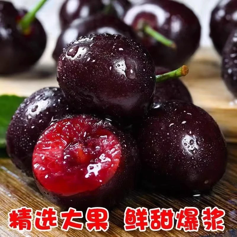 【京东顺丰包邮】现货智利进口5斤车厘子J-4J新鲜水果当季2斤整箱