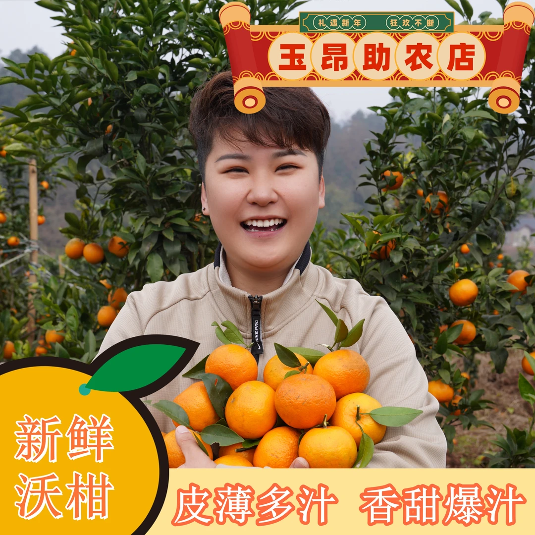 【龙玉昂助农】纳溪丰乐 冰糖沃柑新鲜水果现摘皮薄爆汁香甜好吃