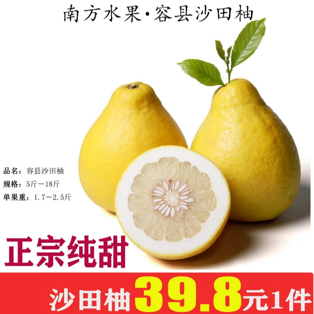 【特级果】广西容县沙田柚纯甜新鲜水果柚子