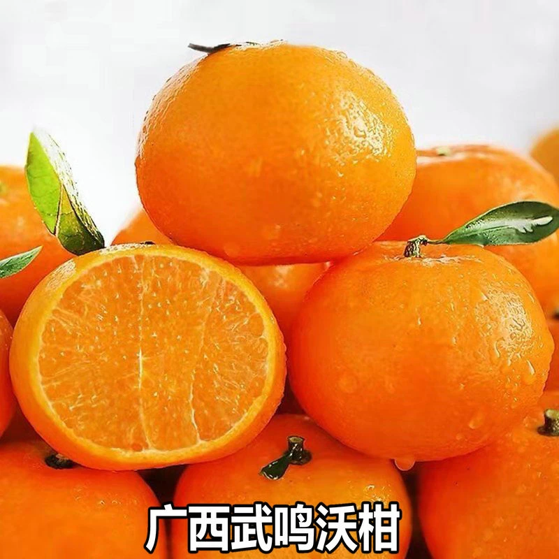 新鲜现摘广西武鸣沃柑 3-8斤 脆甜爽口水果新鲜当季整箱 坏果包赔