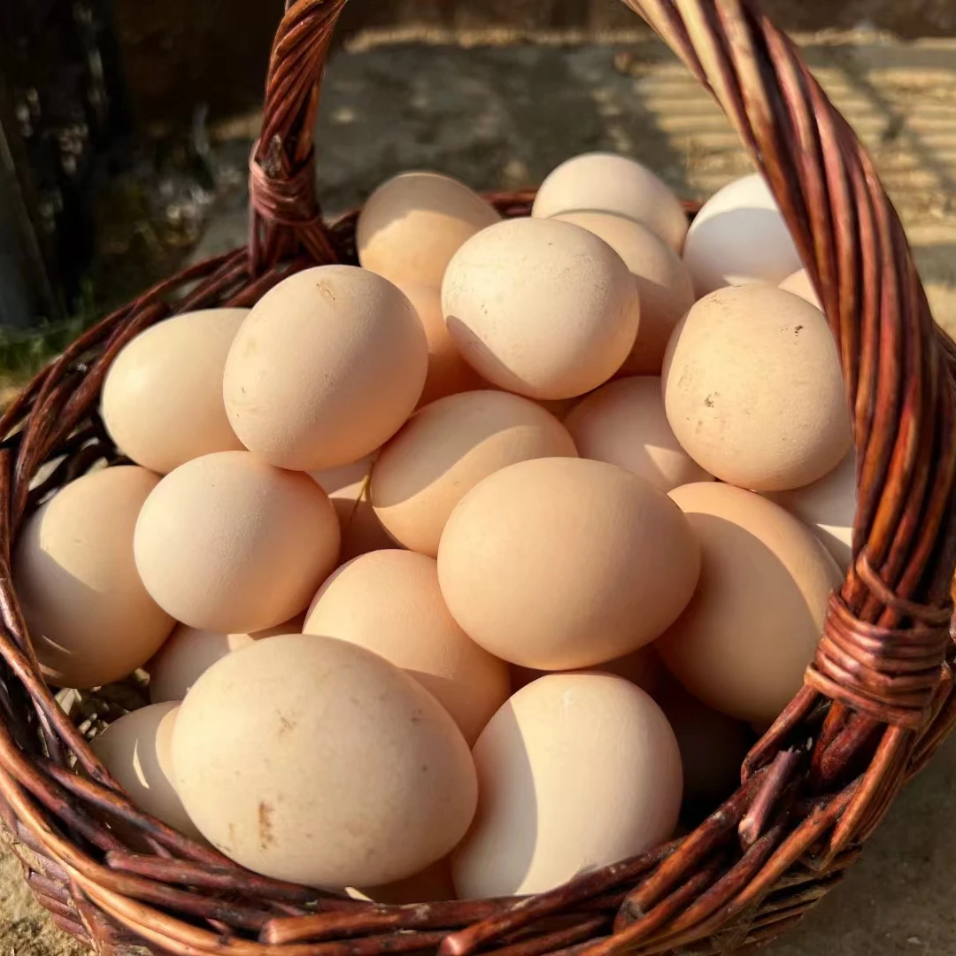 新鲜土鸡蛋农家散养鸡蛋柴鸡蛋新鲜现捡健康20枚40枚100枚