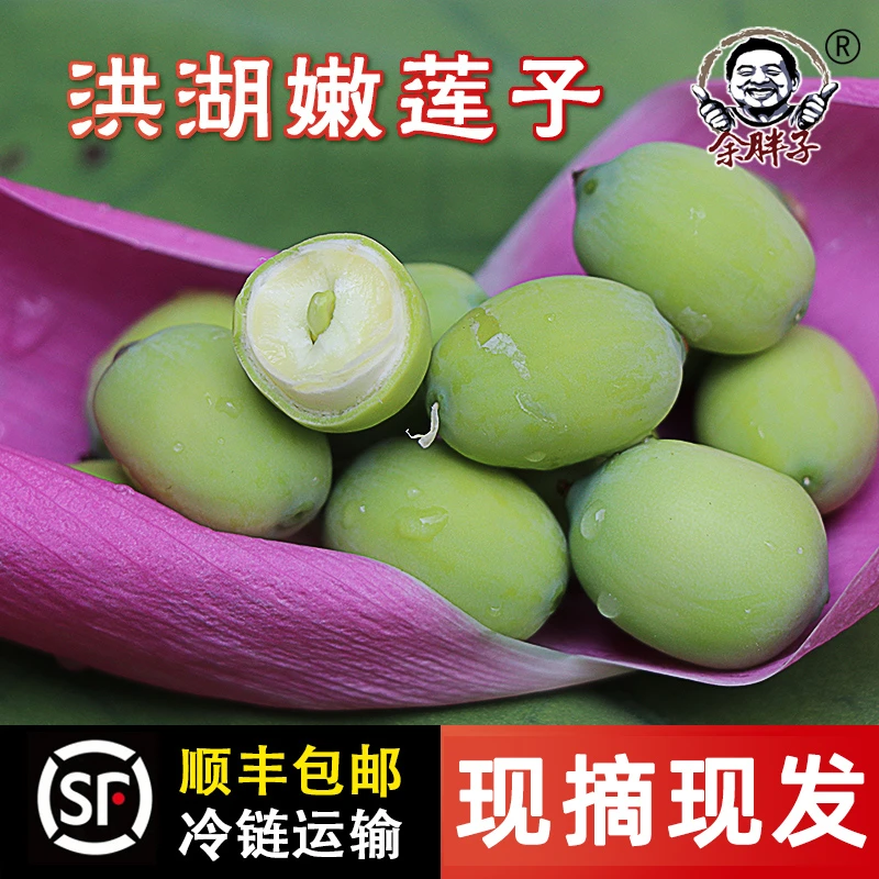 余胖子湖北洪湖莲蓬新鲜生莲子米嫩甜水果孕妇当季3斤2斤现摘鲜