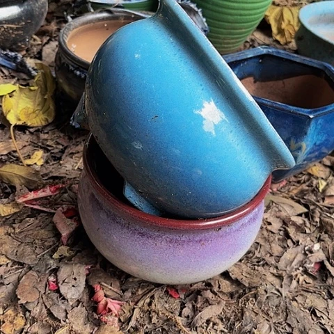 红陶20CM（含）-50CM（不含）两个口径19高度14