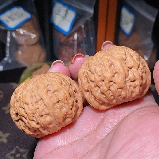 文玩核桃把件天龙珠