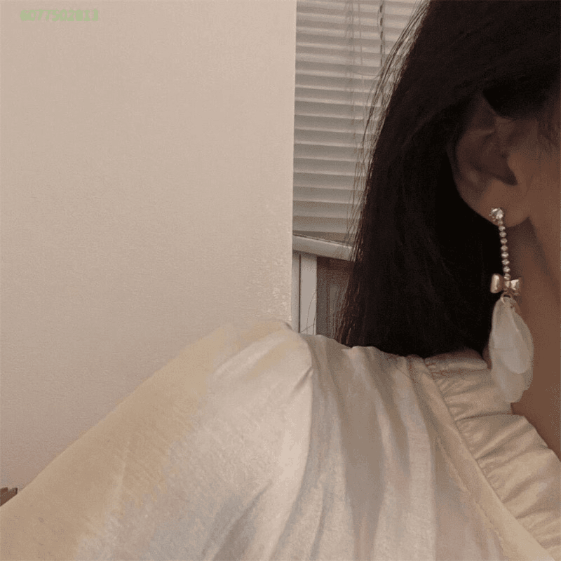 铜合金耳饰 A21气质轻奢时尚百搭简约长款精致优雅耳环经典素