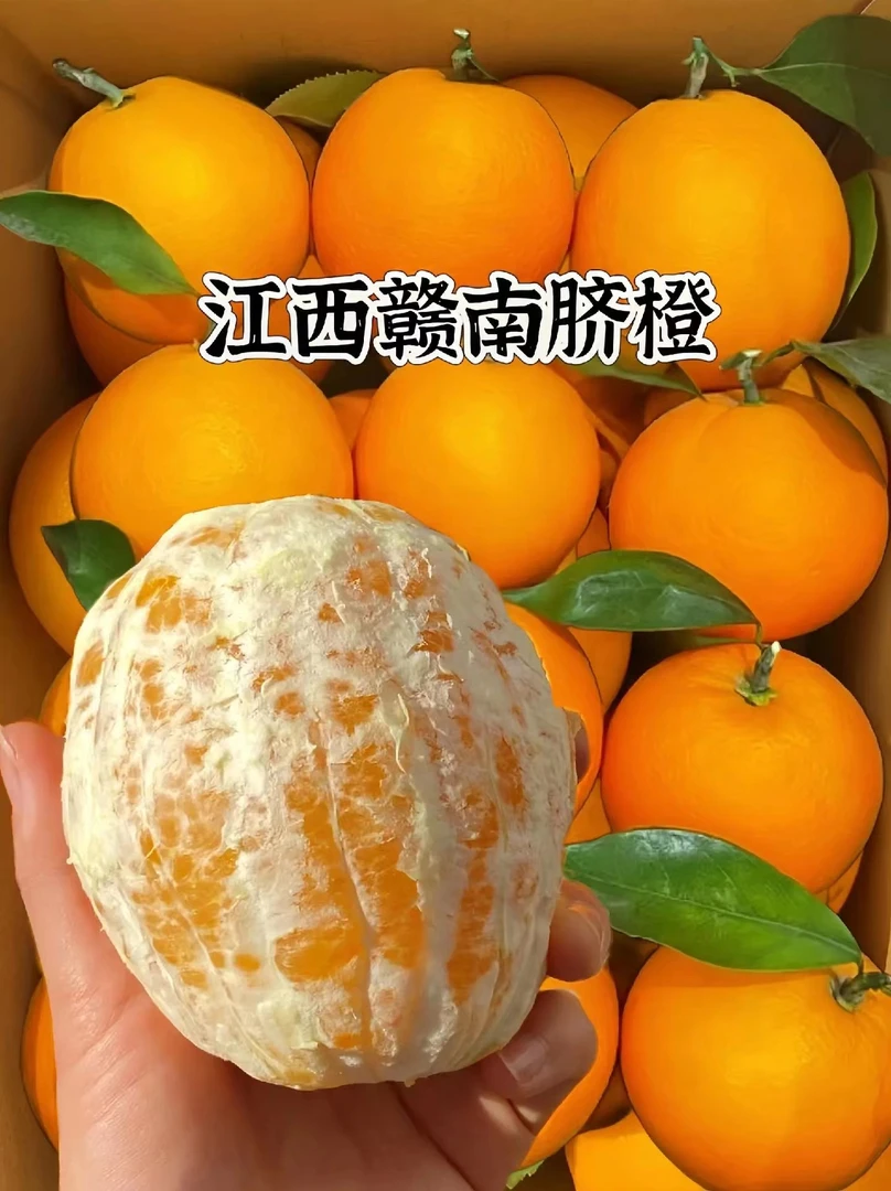 新鲜大果爆甜应季水果原产地赣南脐橙正宗江西赣州10斤产地直发